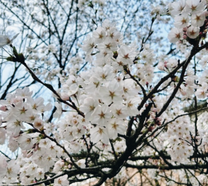 육아와 일을 병행하는 워킹맘의 현실적인 시간 관리 방법