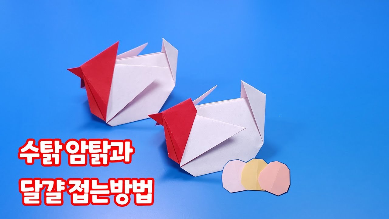 동물 닭