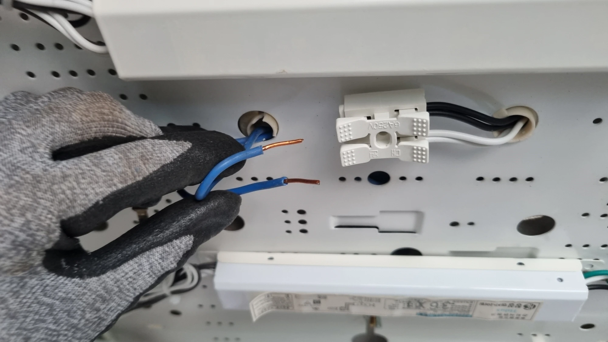 전선 분리 모습