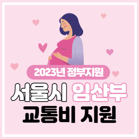 서울시 임산부 교통비 지원