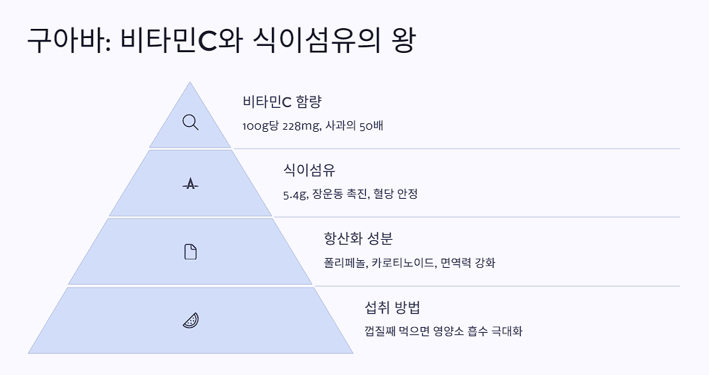 구아바: 비타민C와 식이섬유의 왕