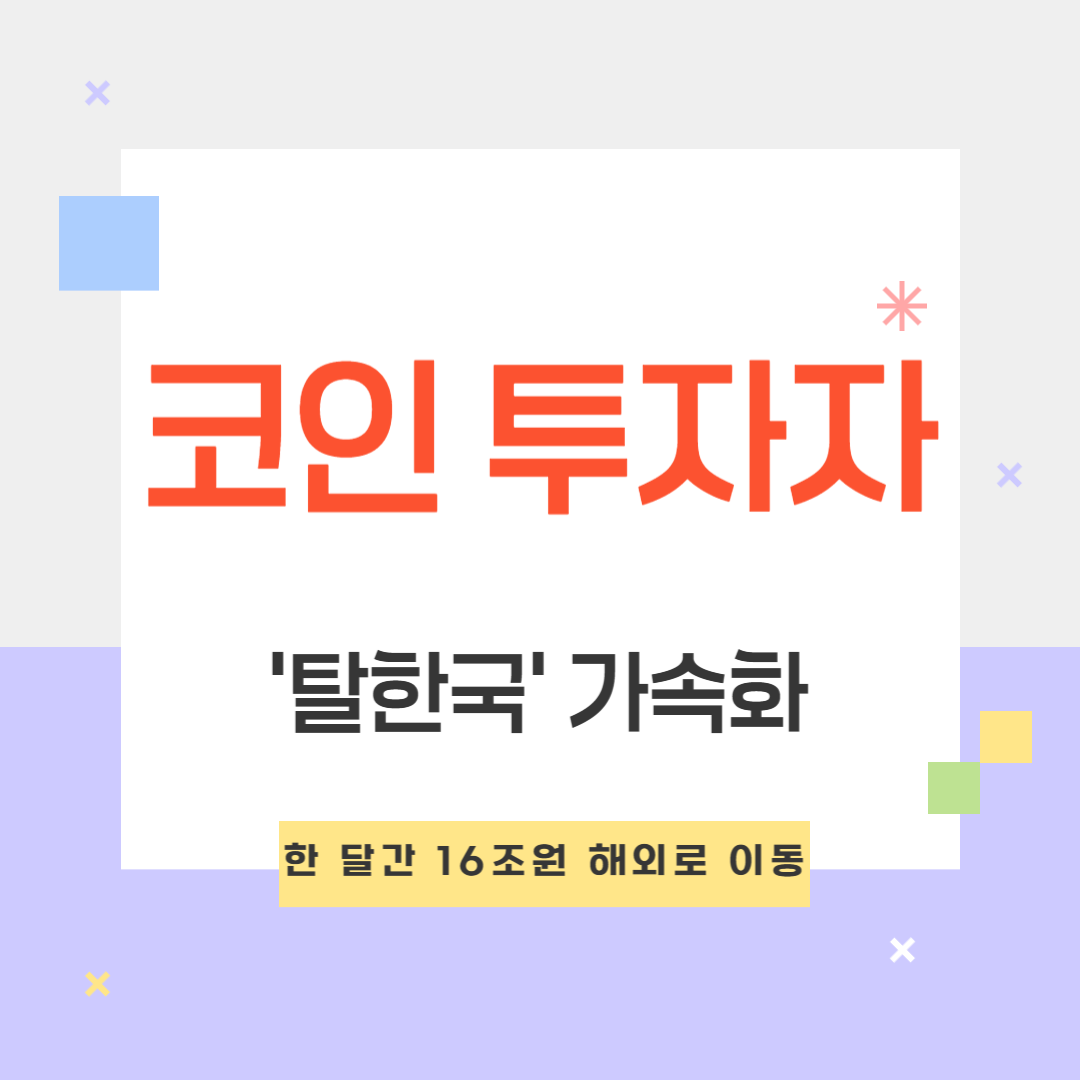국내 코인 투자자