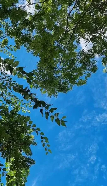풍경 사진 구름 노을 수평선 프레이밍 한눈에 정리_10
