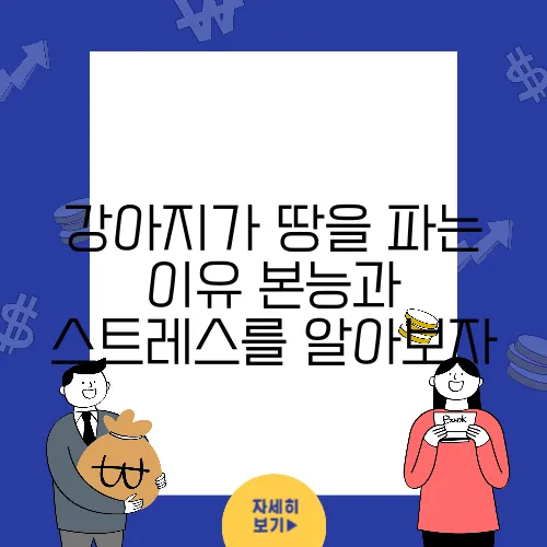강아지가 땅을 파는 이유 본능과 스트레스를 알아보자