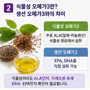 식물성 오메가3란? 생선 오메가3와의 차이