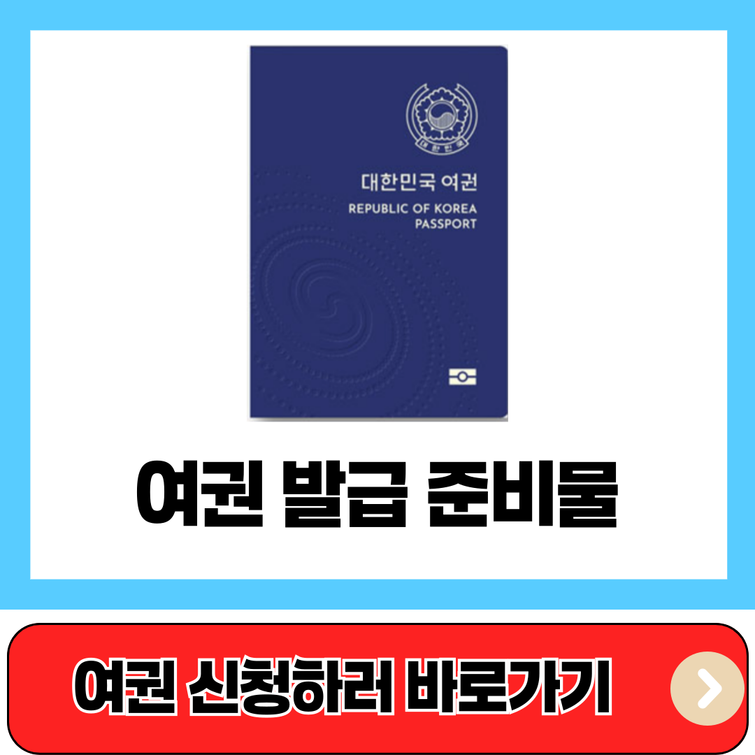 여권 발급 준비물