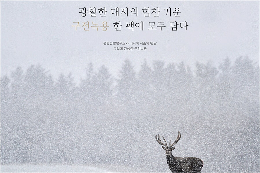 구전녹용 효능 가격 정보 (임영웅 건강식품)