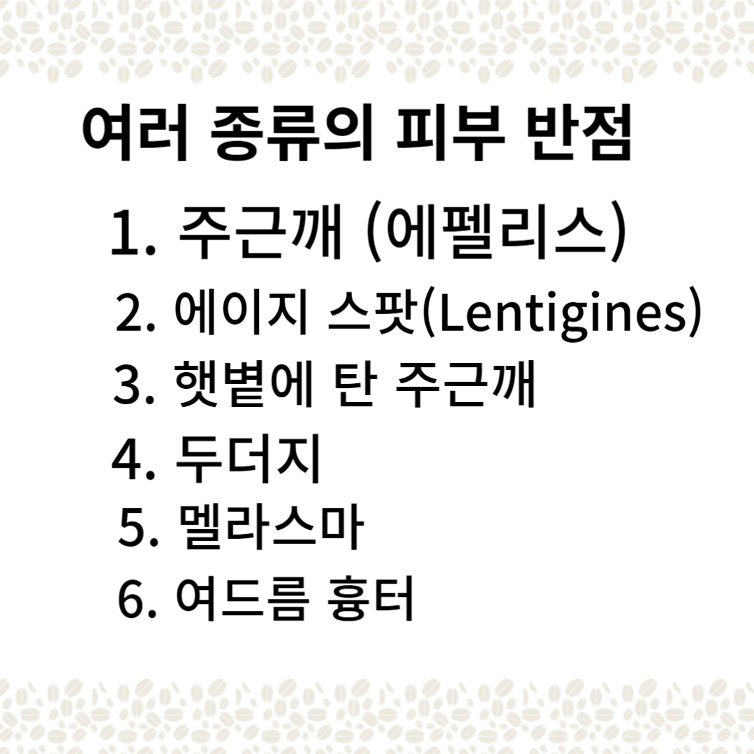 여러 종류의 피부 반점