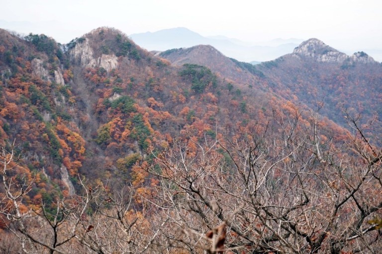 내장산 단풍시기