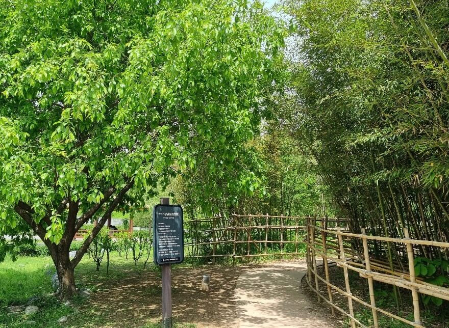 북서울꿈의숲 관련사진