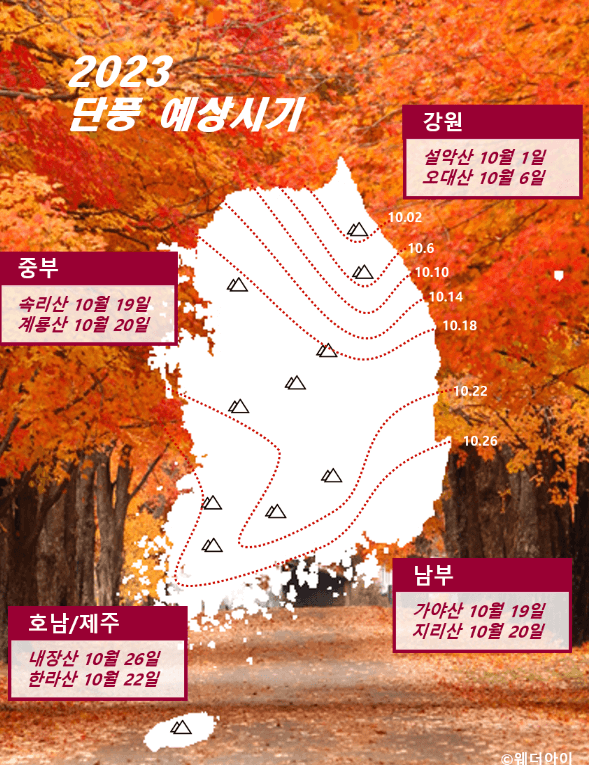 2023 단풍 절정시기