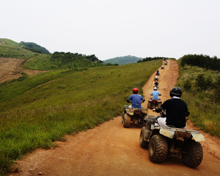 엑스라이프 정보