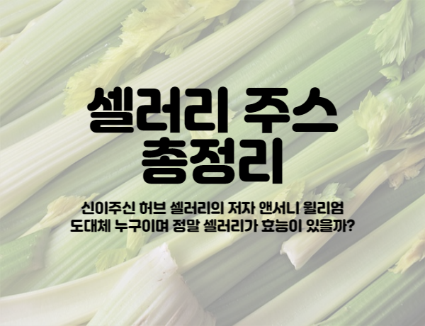 셀러리 주스 썸네일