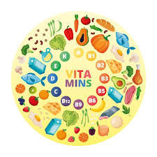 비타민A 인기 제품