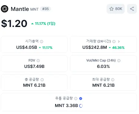 맨틀 기본 정보