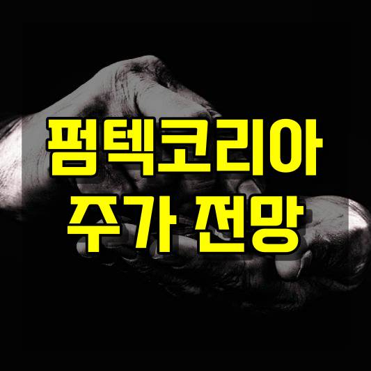 펌텍코리아 주가 전망