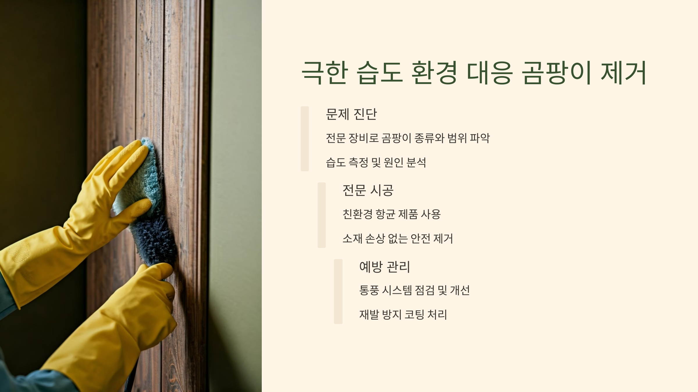 가평 입주청소 곰팡이 제거