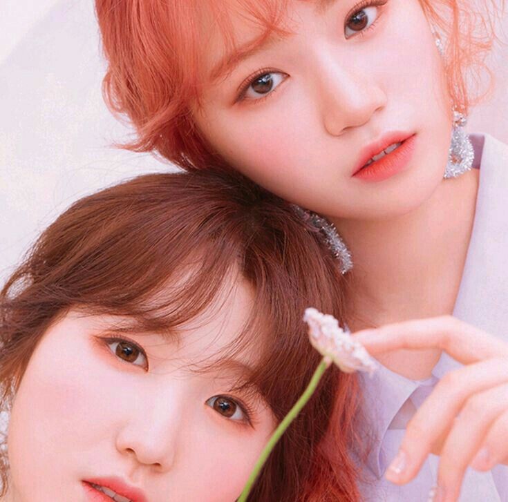 아이즈원 프로듀스48 사진 모음