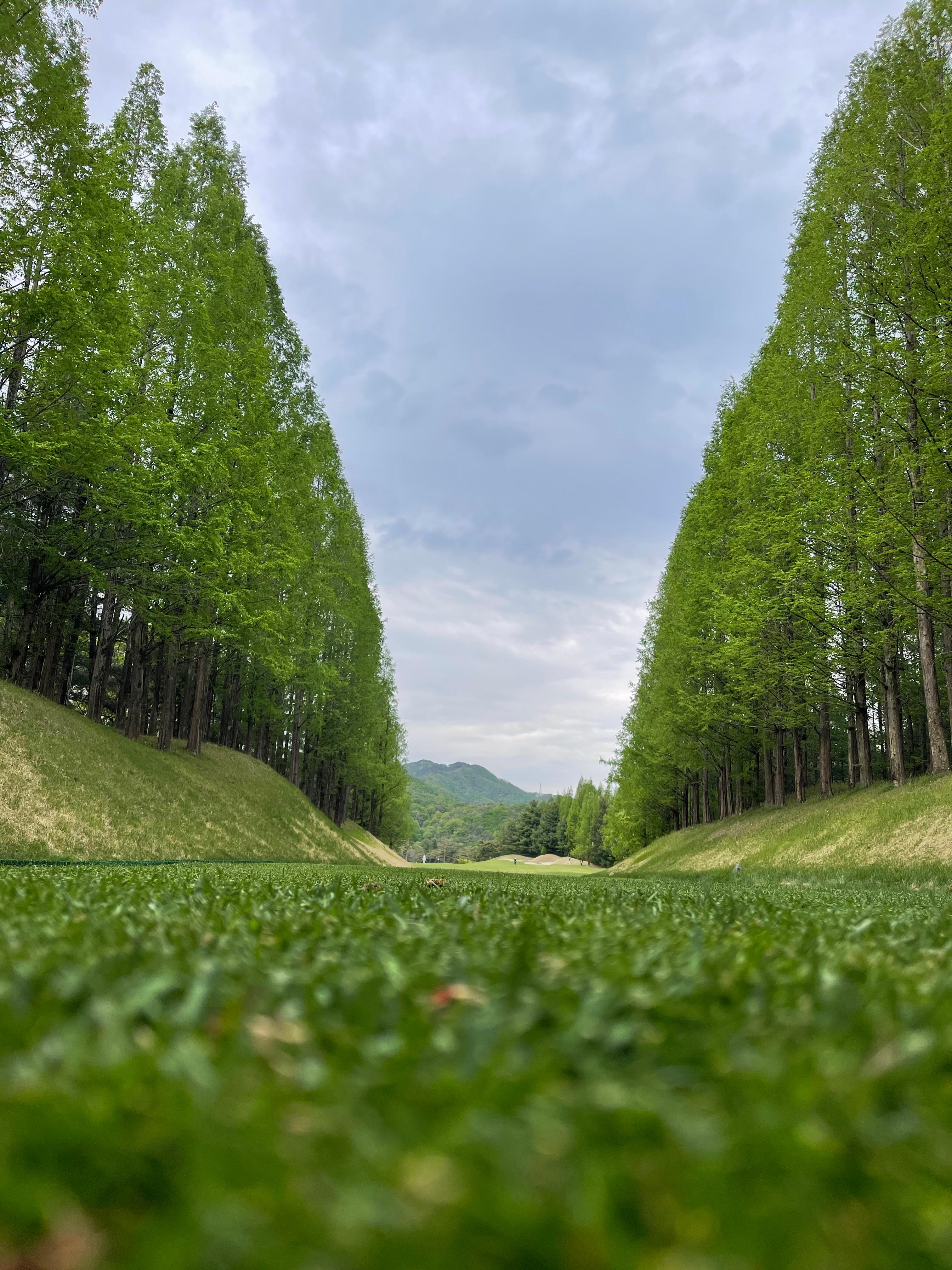 블루헤런골프클럽 시그니쳐코스