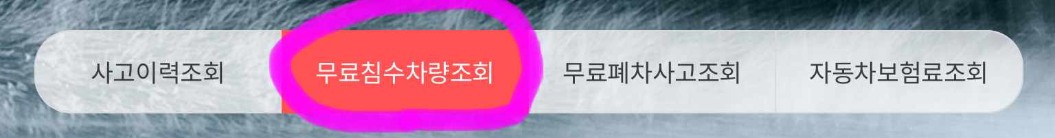 홈 화면에 보이는 무료 침수차량조회를 클릭해 줍니다.