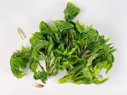 엄나무순 - 왜 봄마다 찾을까? -먹는법