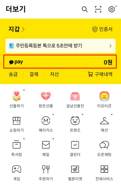 카카오톡 카카오페이