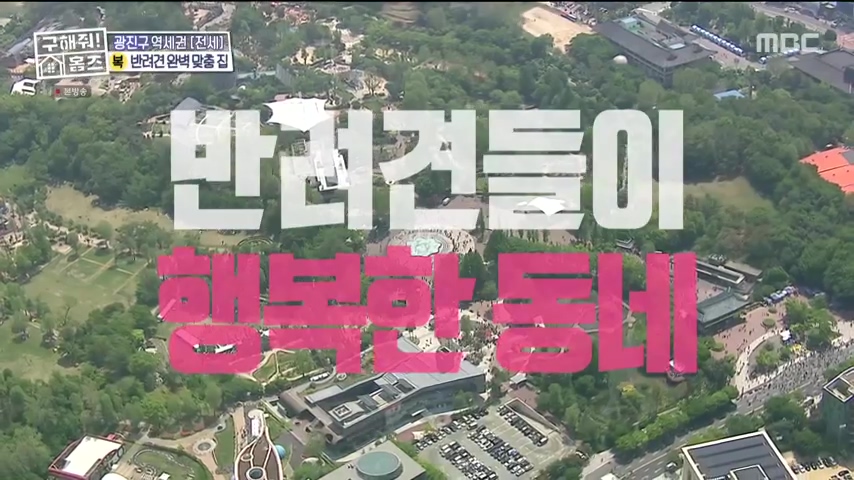 구해줘홈즈 댕댕하우스 동물병원 인접 서울시 광진구 중곡동 전세 매매 매물 가격 및 구조 인테리어 리모델링 최종선택 더보이즈 영훈 현재 소개