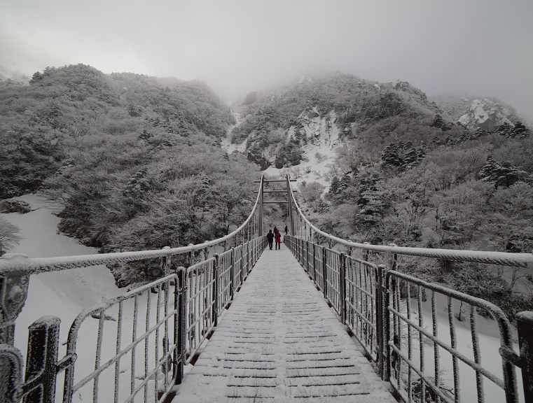 제주도 한달살기 