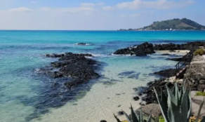 제주한달살기 준비물