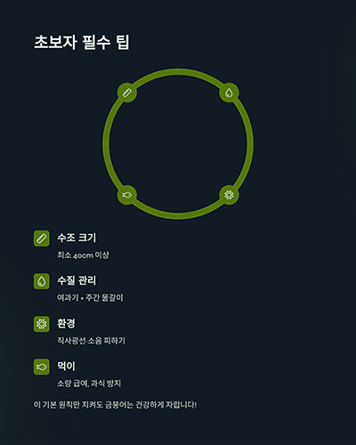 입문자 팁 요약표