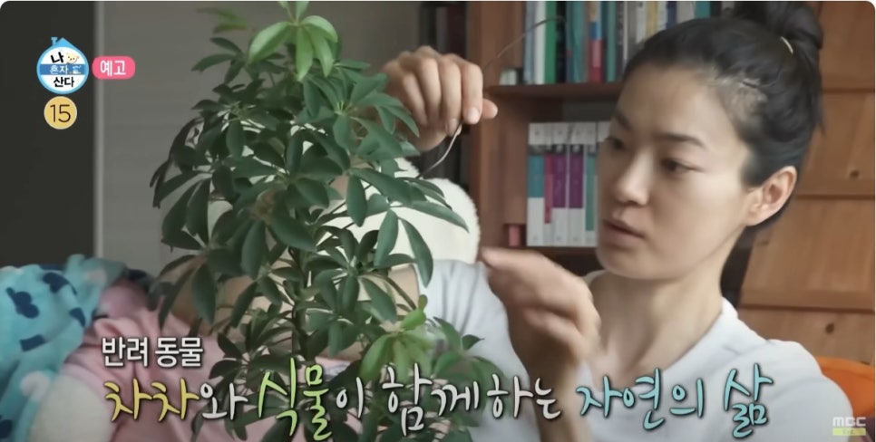 옥자연이 선택한 이케아 밀스보, 아파트에서 식물장 하나로 텃밭 자연주의 (+나혼산 리뷰)