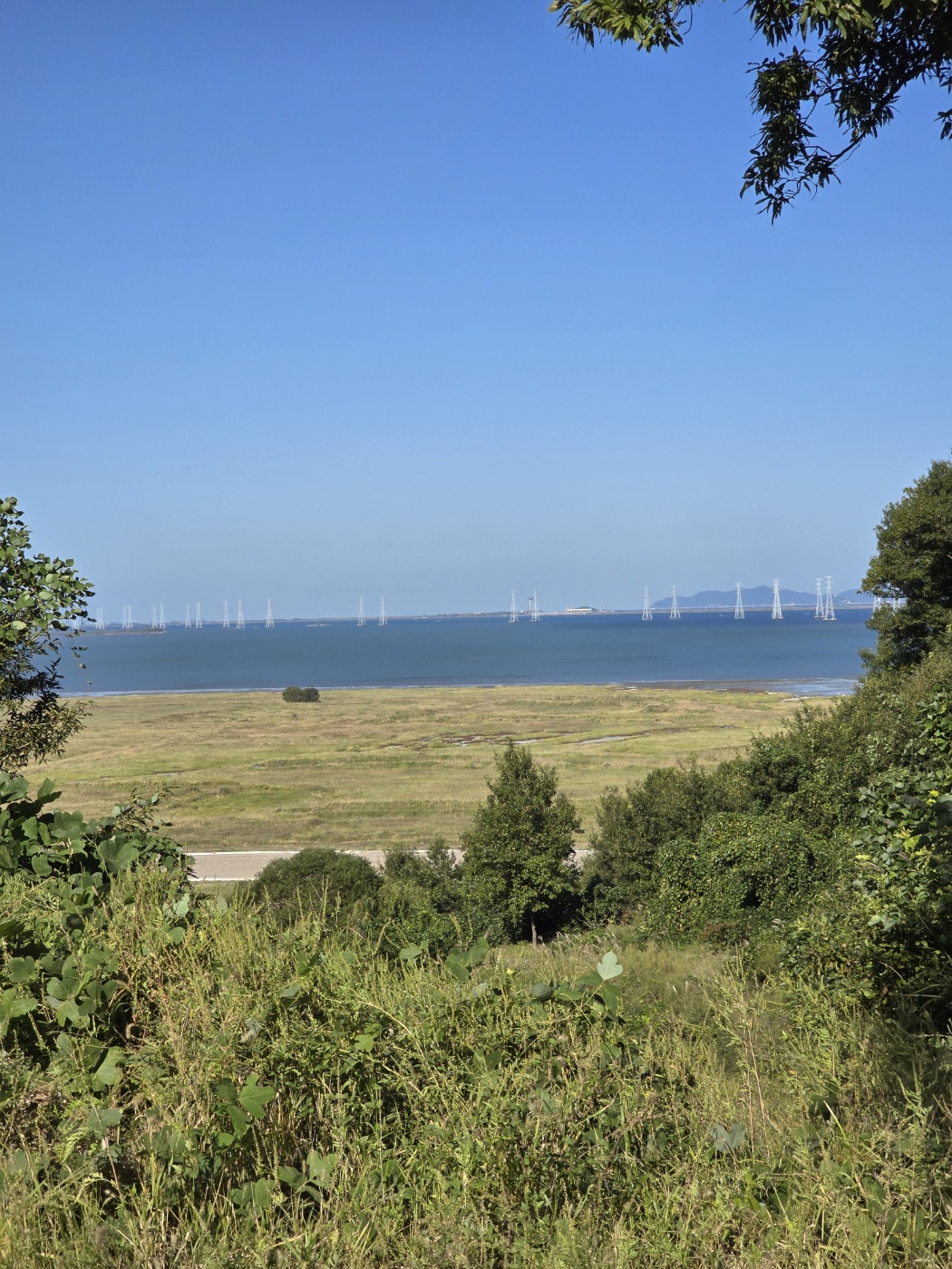 시화호가 너무 아름다워요