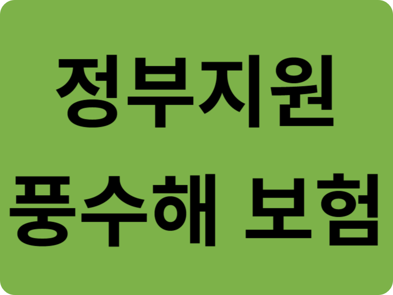 정부지원 풍수해 보험