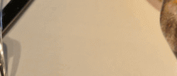 Tile 13