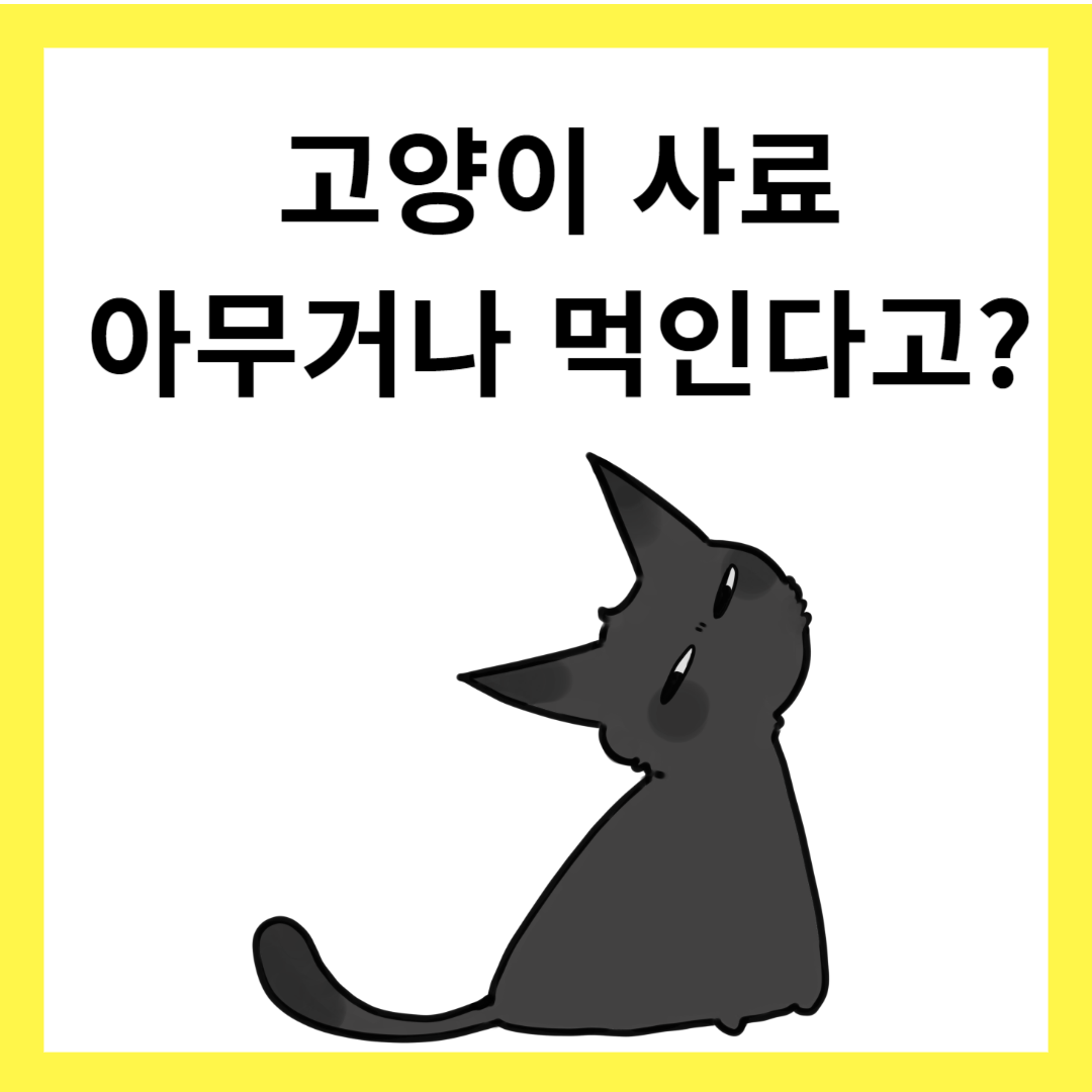 고양이-사료-썸네일