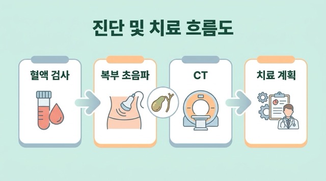 담낭염 검사 혈액검사 복부초음파 CT 항생제 담낭절제술