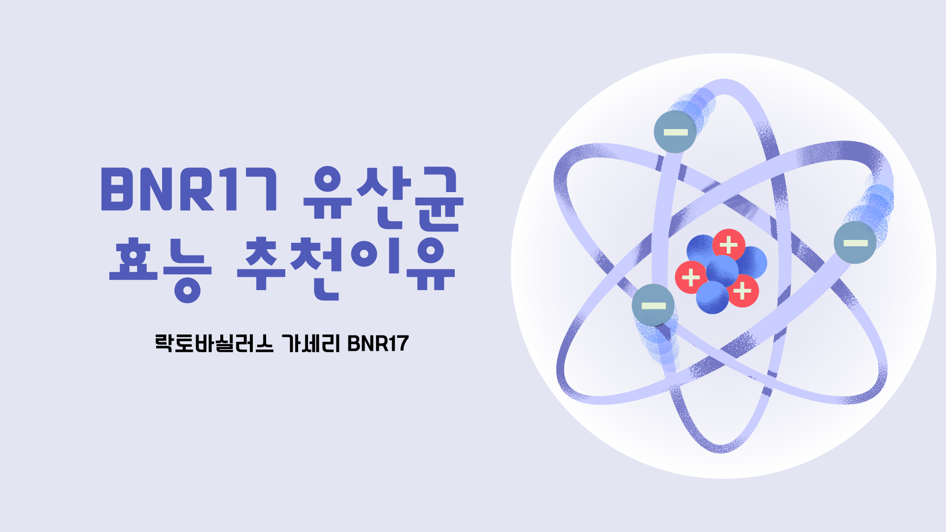 BNR17 유산균