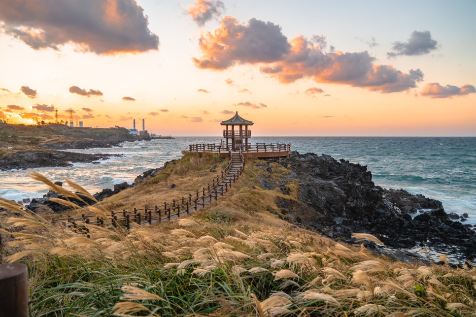 닭머르해안길 억새