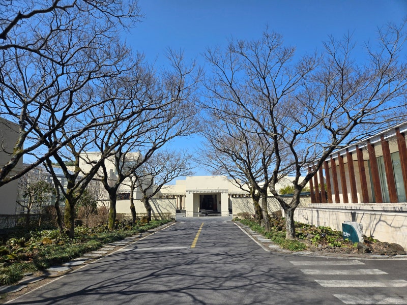 인기 골프장! 제주도 '클럽나인브릿지' 골프장 소개