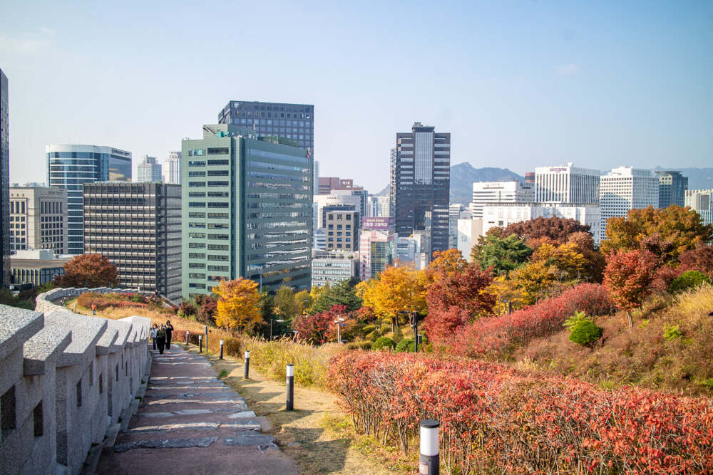 남산둘레길 10월 28일 상황 단풍