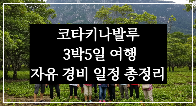 코타키나발루 여행 준비 3박5일 자유 경비 일정 총정리