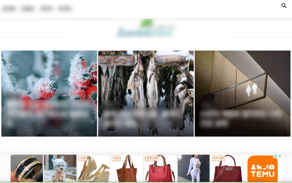 내 도메인 접속 정상