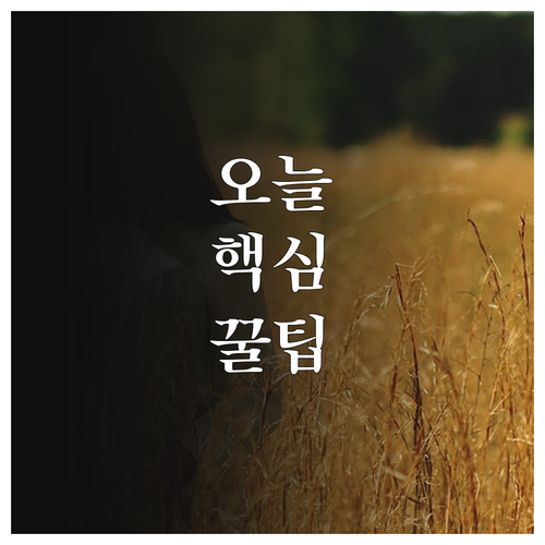 2025 중소기업 매출채권팩토링 낮은..