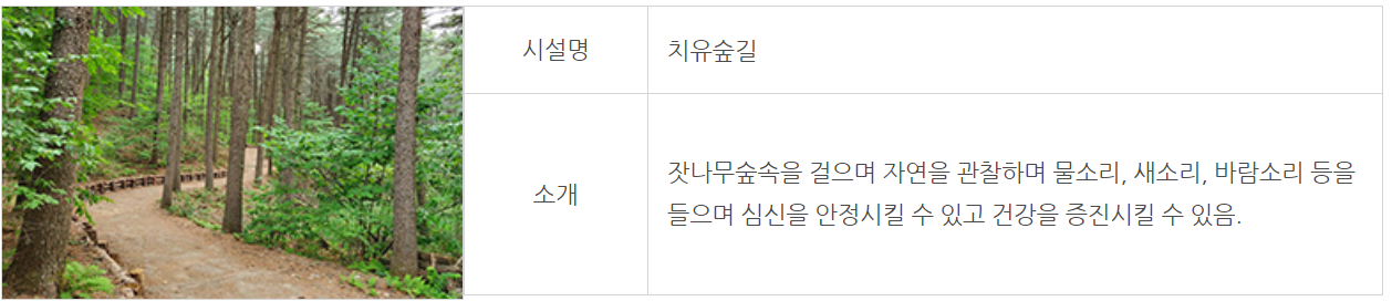 잣향기푸른숲