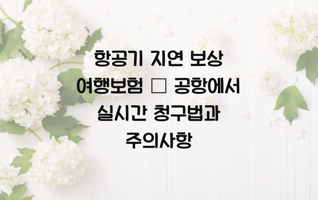 항공기 지연 보상 여행보험 – 공항에서 바로 청구하는 꿀팁
