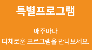 차 없는 잠수교 뚜벅뚜벅축제