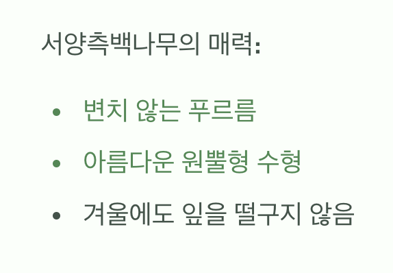 내 손안의 작은 숲&amp;#44; 화분 속의 나무