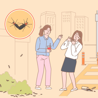 러브버그 출몰시기 및 퇴치방법