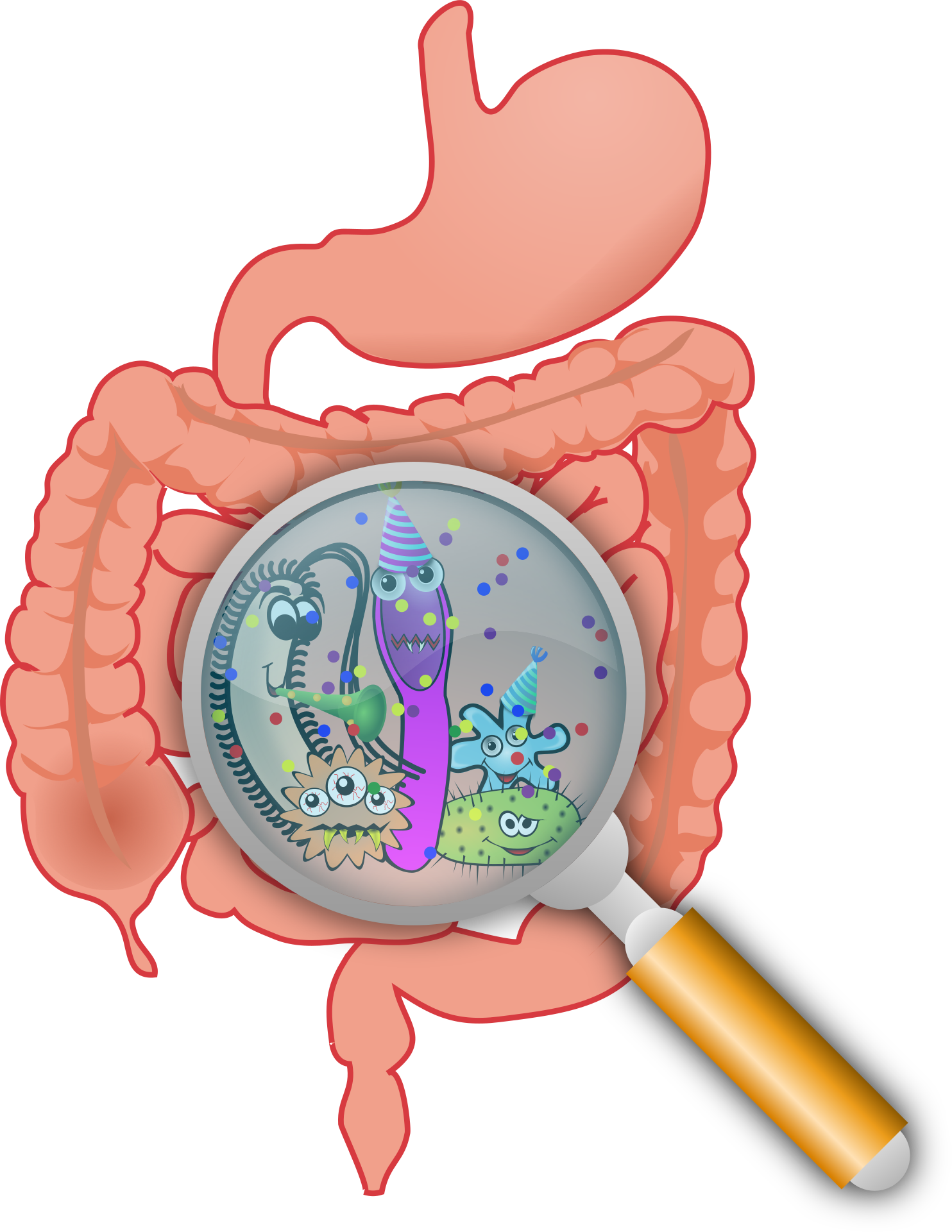 뱃속 노로바이러스 세균 이미지