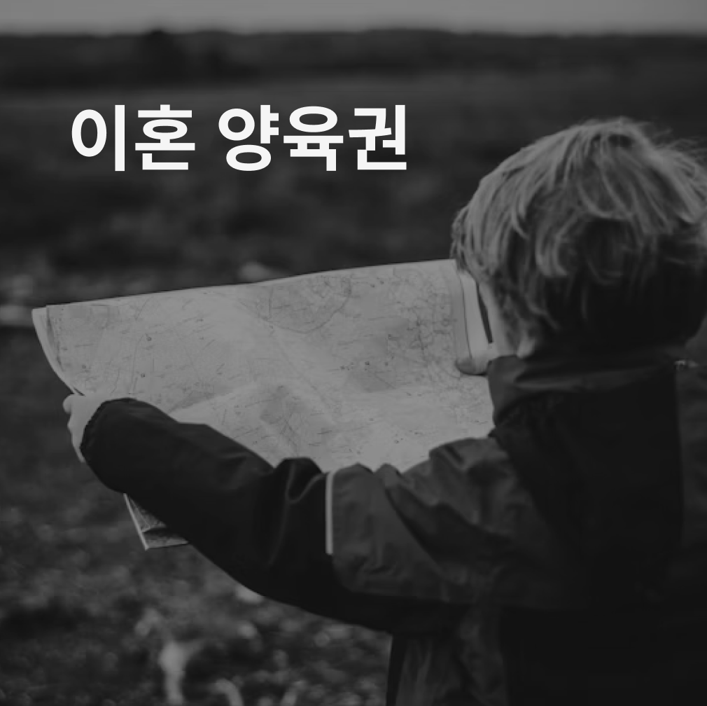 양육권 소송